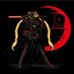 Sailor moon/Starwars hoodie 💫 sz S